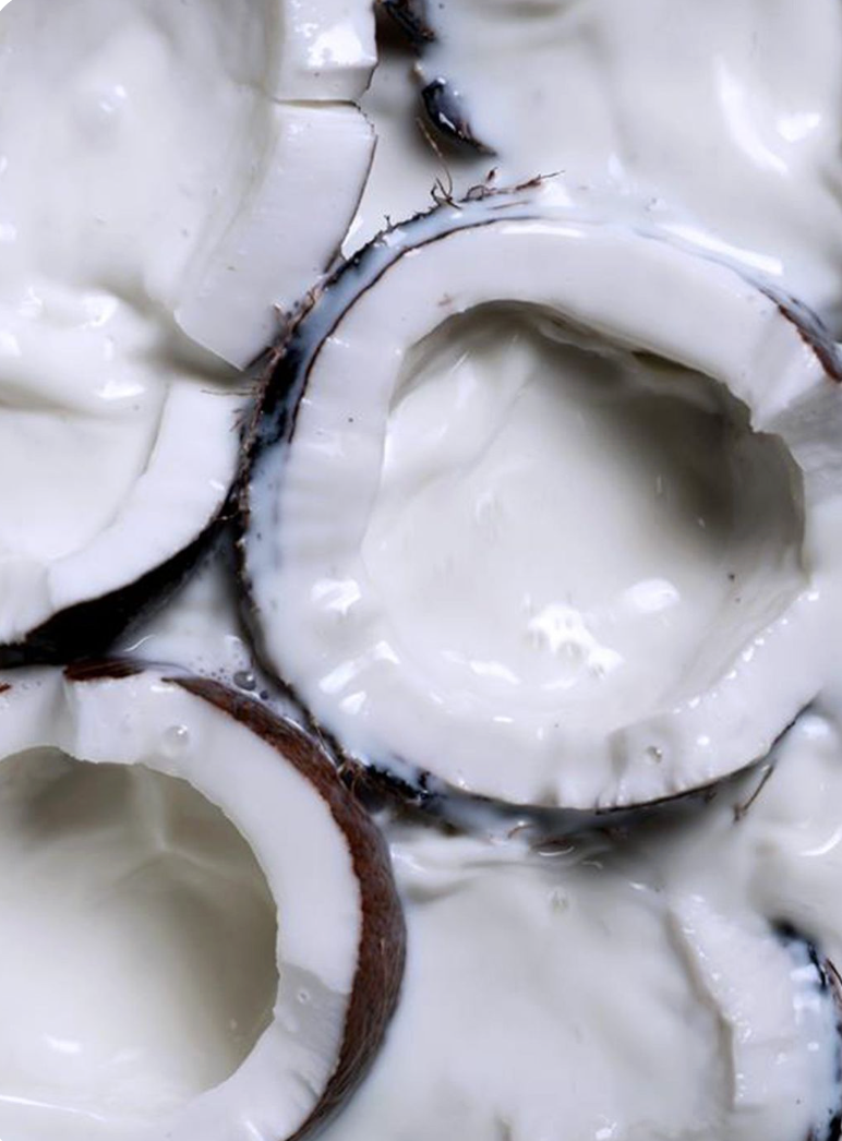 COCONUT MILK NOUGAT SOAP BAR